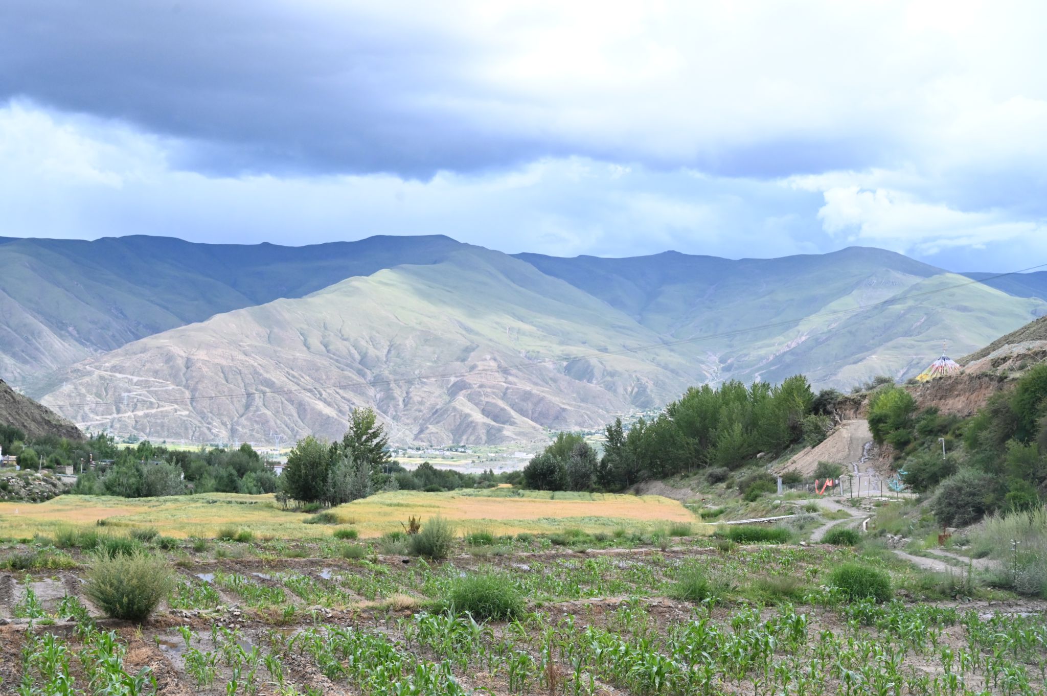 山西建投建工集团拉萨南北山曲水县营造林先造后补工程（二期）