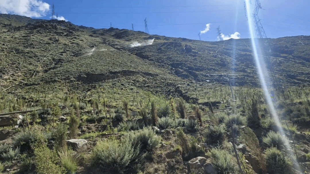 港澳铁盘神算5042论坛