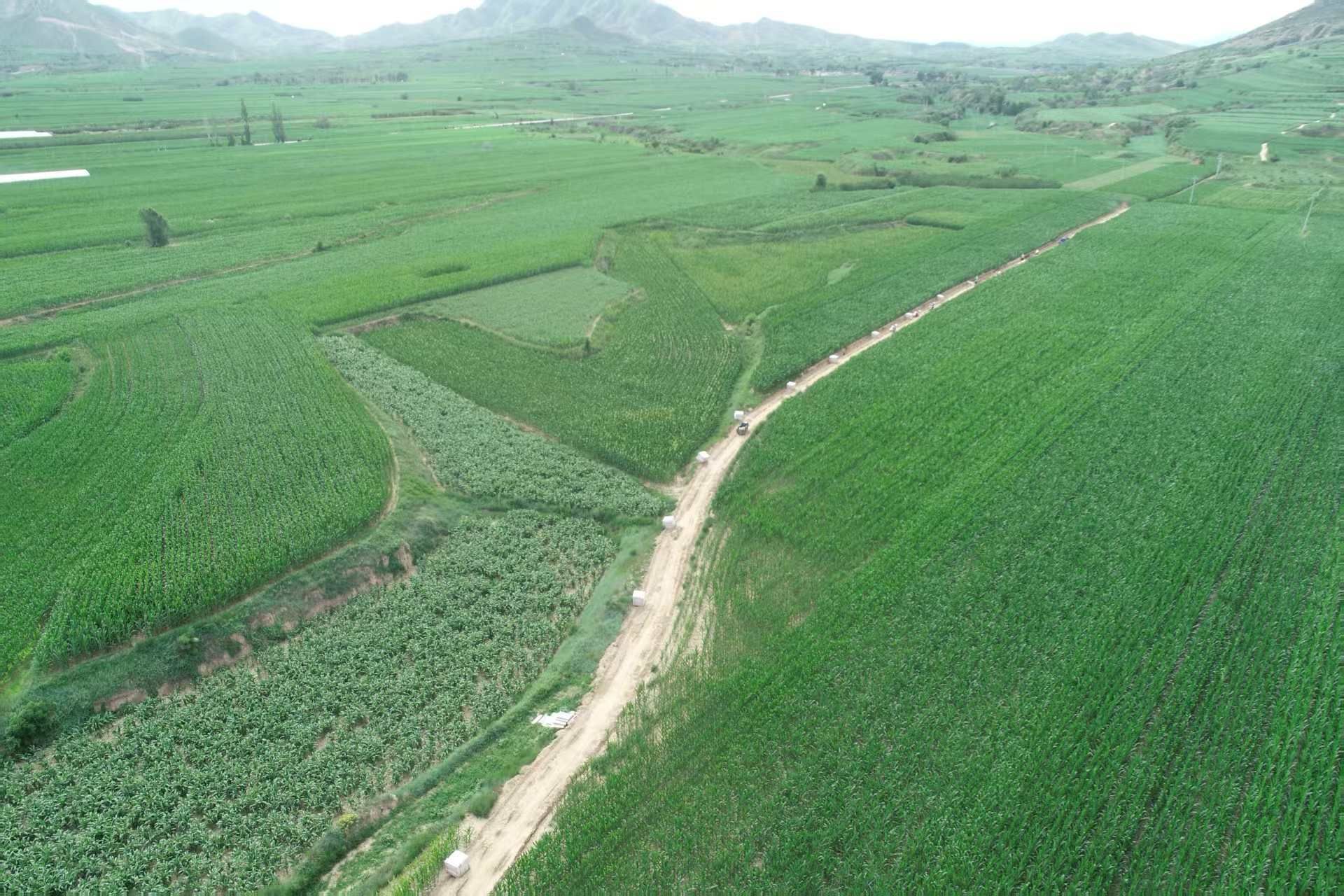 港澳铁盘神算5042论坛