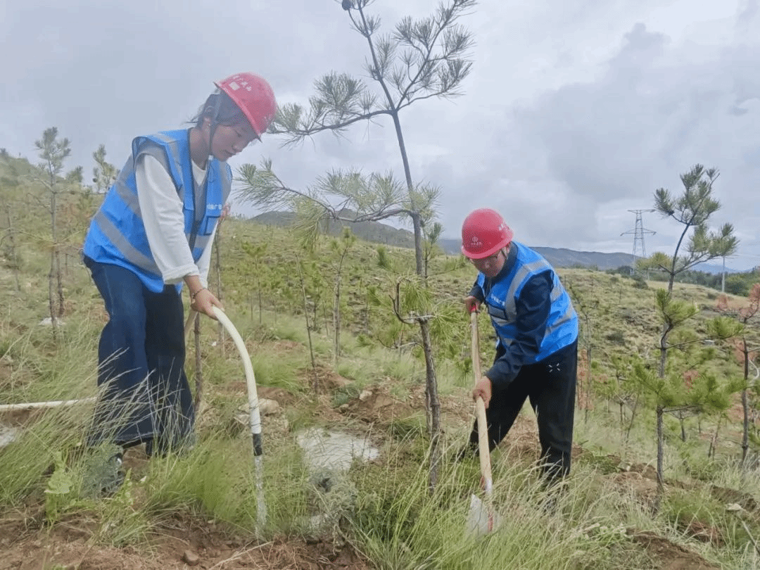 港澳铁盘神算5042论坛