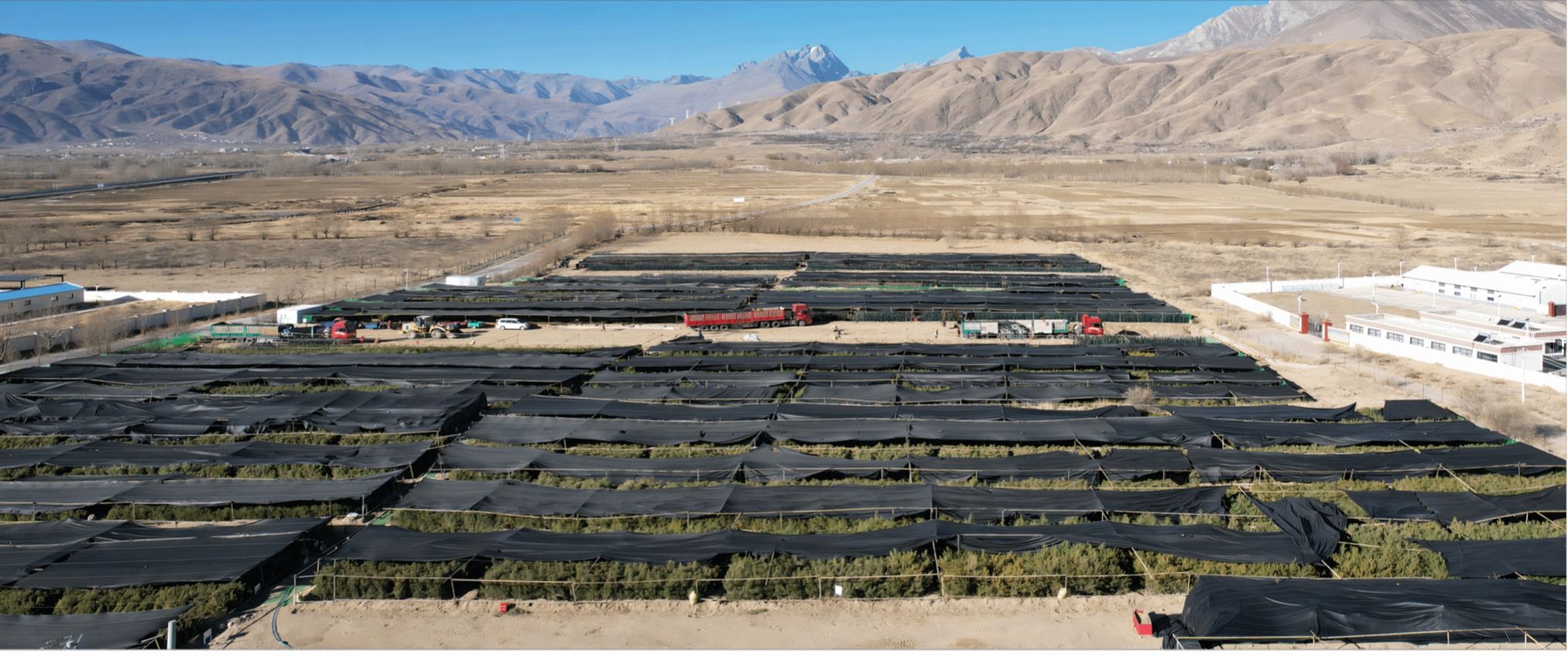 港澳铁盘神算5042论坛