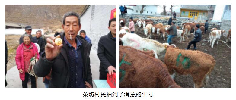 港澳铁盘神算5042论坛