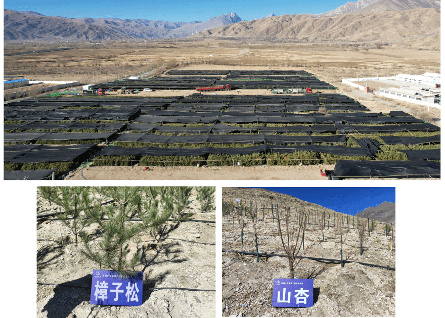 港澳铁盘神算5042论坛