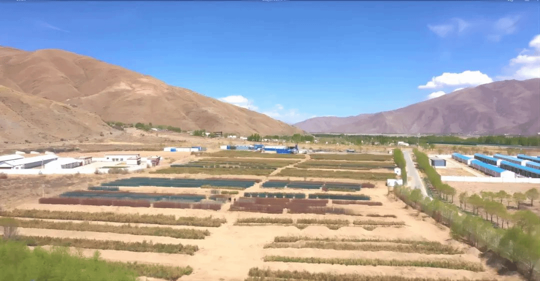 港澳铁盘神算5042论坛