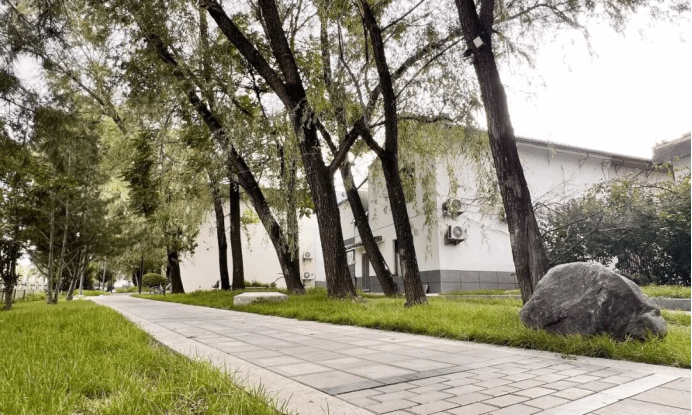 港澳铁盘神算5042论坛